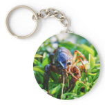 Crawfish Crawdads Crayfish Keychains