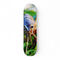 Crawfish Crawdads Crayfish skateboards