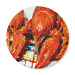 Crawfish Crawdads Craytfish Refrigerator Magnet