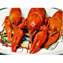 Crawfish Crawdads Craytfish photo sculptures by lifesphere Crawfish Crawdads Craytfish photo sculptures