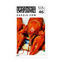 Crawfish Crawdads Craytfish Stamp