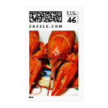 Crawfish Crawdads Craytfish Stamp