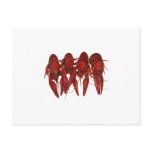 Crawfish Logo (untitled) Post Cards