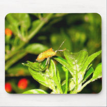 Crawling Chili Bug mousepads