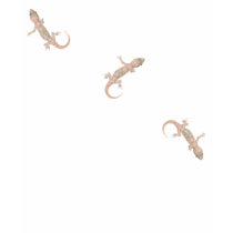 Crawling Geckos t-shirts