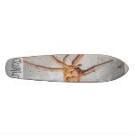 CRaWLr Skate Board