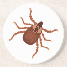 Crawly Realistic Tick Illustration Drink Coasters
