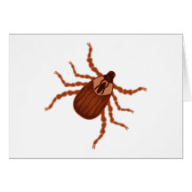 Crawly Realistic Tick Illustration Greeting Cards