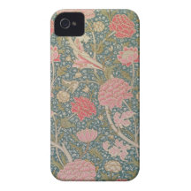 'Cray', 1884 iPhone 4 Cases