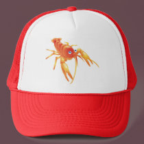 Crayfish hats