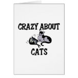 Crazy About Cats