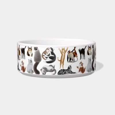 Crazy About Cats Pet Bowl Cat Bowl