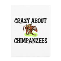 Crazy About Chimpanzees Post Cards