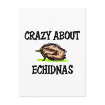 Crazy About Echidnas postcards by AnimalShirts Crazy About Echidnas postcards