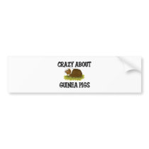 Crazy About Guinea Pigs bumper stickers by AnimalShirts Crazy About Guinea Pigs bumper stickers