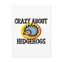 Crazy About Hedgehogs postcards