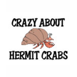 Crazy About Hermit Crabs Shirts
