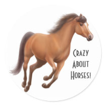 Crazy About Horses Sticker
