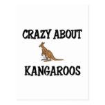 Crazy About Kangaroos Post Card