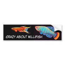 Crazy About Killifish Bumper Sticker bumper stickers