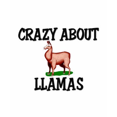 crazy_about_llamas_tshirt-p235096414891836897qqbf_400.jpg