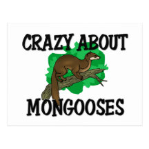 Crazy About Mongooses Postcards