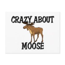 Crazy About Moose Postcards