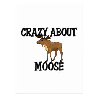Crazy Moose Crazy Moose