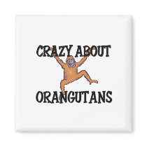 Crazy About Orangutans magnets