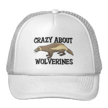 Crazy About Wolverines Mesh Hat