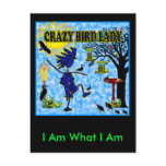 Crazy Bird Lady Design Post Card