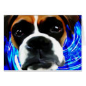 crazy boxer cards by plunket crazy boxer cards