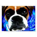 crazy boxer posters by plunket crazy boxer posters