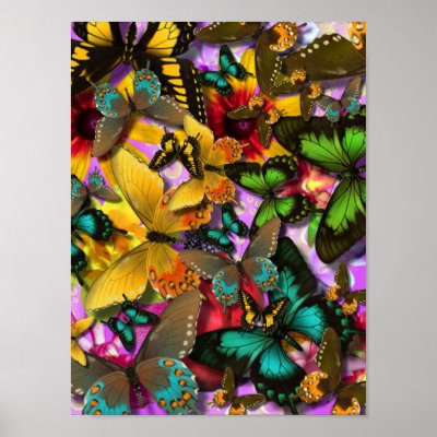 Crazy Butterflies posters