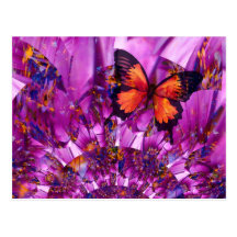 Crazy Butterfly Post Cards
