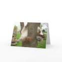 CRAZY CAT  CARD
