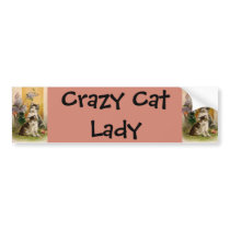 Crazy Cat Lady bumper stickers