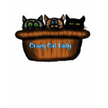 CRAZY CAT LADY fun tee