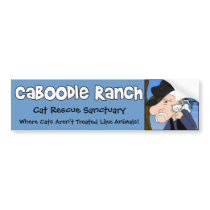 'Crazy Cat Man' Bumper Sticker