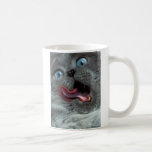 Crazy Cat Mug