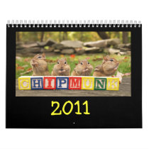 Crazy Cute Chipmunks 2011 Calendars