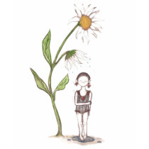 crazy daisy t-shirts