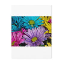 Crazy Dasies postcards