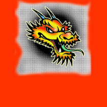 crazy dragon t-shirts