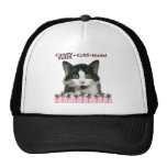 Crazy Felix CAT-itude in Pink hats