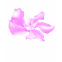 crazy flower t-shirts by ideadude55 crazy flower t-shirts