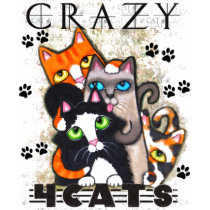 Crazy For Cats Ladies T-Shirt by jamiecreates1 Crazy For Cats Ladies T-Shirt