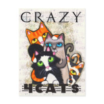 Crazy For Cats Postcard