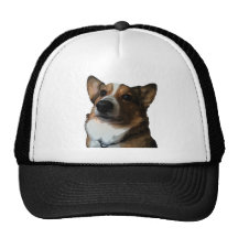 Crazy for Corgis Mesh Hat
