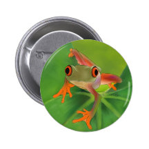 Crazy Frog Button with Background